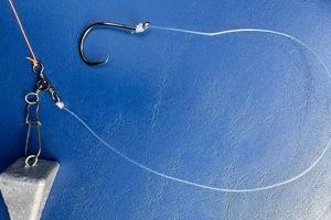 Best Beach Fishing Surf Fishing Rigs For Your Trip! Learn to Surf & Skate: A Beginner's Step-by-Step Guide Best Beach Fishing Surf Fishing Rigs For Your Trip! | Learn to Surf & Skate: A Beginner's Step-by-Step Guide