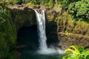 Your Big Island Surf Report: Hawaii Waves & Conditions Now Learn to Surf & Skate: A Beginner's Step-by-Step Guide Your Big Island Surf Report: Hawaii Waves & Conditions Now | Learn to Surf & Skate: A Beginner's Step-by-Step Guide