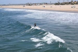 Your Guide: Seal Beach Surf Spots & Conditions + More Learn to Surf & Skate: A Beginner's Step-by-Step Guide Your Guide: Seal Beach Surf Spots & Conditions + More | Learn to Surf & Skate: A Beginner's Step-by-Step Guide