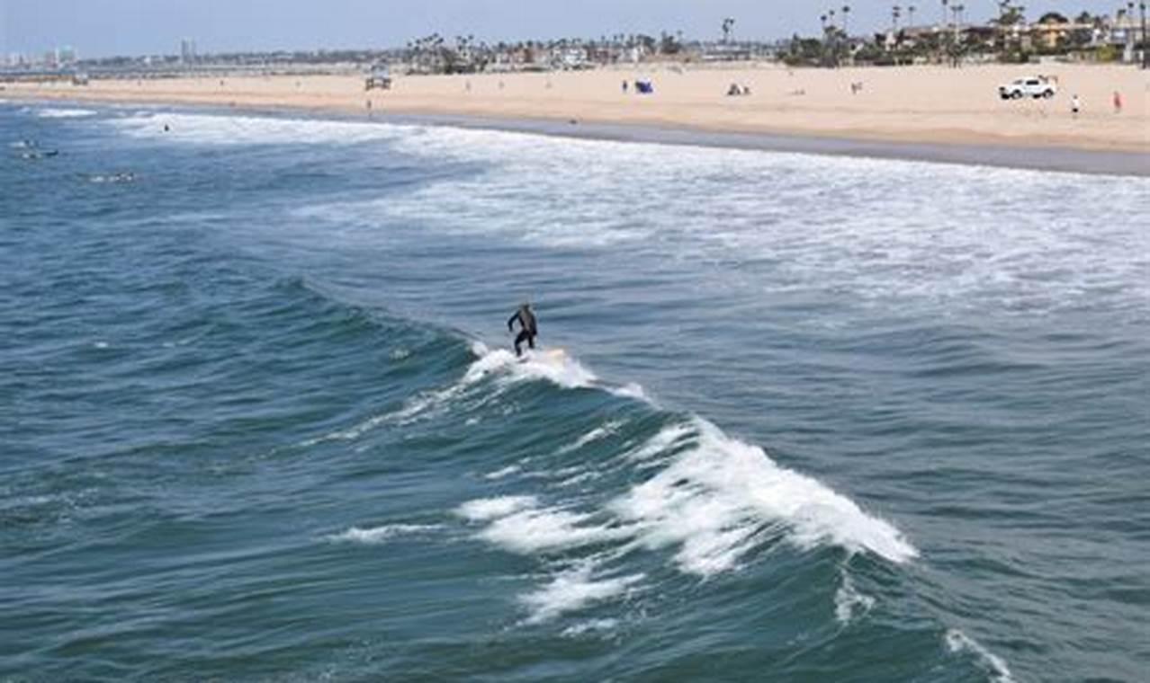 Your Guide: Seal Beach Surf Spots & Conditions + More Learn to Surf & Skate: A Beginner's Step-by-Step Guide Your Guide: Seal Beach Surf Spots & Conditions + More | Learn to Surf & Skate: A Beginner's Step-by-Step Guide