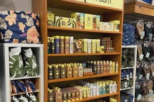 Find Your Perfect Surf Shop in OCMD: Gear & Rentals Learn to Surf & Skate: A Beginner's Step-by-Step Guide Find Your Perfect Surf Shop in OCMD: Gear & Rentals | Learn to Surf & Skate: A Beginner's Step-by-Step Guide