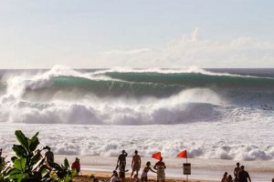 Your Point Judith Surf Report: [Conditions & Forecast] | Learn to Surf & Skate: A Beginner's Step-by-Step Guide