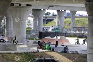 Your Guide to Boston Skate Parks: Locations & More Learn to Surf & Skate: A Beginner's Step-by-Step Guide Your Guide to Boston Skate Parks: Locations & More | Learn to Surf & Skate: A Beginner's Step-by-Step Guide
