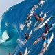 Ultimate Surf Wave Guide: Ride Better, Now! | Learn to Surf & Skate: A Beginner's Step-by-Step Guide