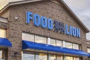 Your Food Lion Surf City NC Guide: Deals & More! | Learn to Surf & Skate: A Beginner's Step-by-Step Guide