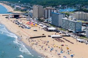 Virginia Beach Surf Break Guide: Waves & Spots! | Learn to Surf & Skate: A Beginner's Step-by-Step Guide