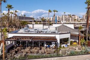 Join a California Surf Club: Community & Waves | Learn to Surf & Skate: A Beginner's Step-by-Step Guide