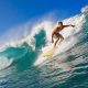 Epic Surfer on a Wave: Ride the Swell! | Learn to Surf & Skate: A Beginner's Step-by-Step Guide