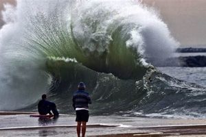 Your Seal Beach Surf Report: Waves &amp; Weather Today | Learn to Surf & Skate: A Beginner's Step-by-Step Guide