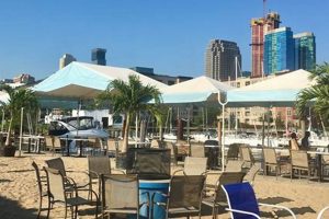 Explore Surf City JC: Surfing in the City of Jersey? Learn to Surf & Skate: A Beginner's Step-by-Step Guide Explore Surf City JC: Surfing in the City of Jersey? | Learn to Surf & Skate: A Beginner's Step-by-Step Guide