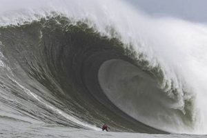 Santa Cruz Surfer Tackles Biggest Wave Challenge Learn to Surf & Skate: A Beginner's Step-by-Step Guide Santa Cruz Surfer Tackles Biggest Wave Challenge | Learn to Surf & Skate: A Beginner's Step-by-Step Guide
