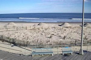 Ocean City Surf Report: Waves &amp; Weather Today! | Learn to Surf & Skate: A Beginner's Step-by-Step Guide