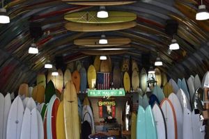 Your Ultimate San Diego Surf Shop: Gear, Rentals & More! | Learn to Surf & Skate: A Beginner's Step-by-Step Guide