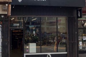 Your Guide to 510 Skate Shop Berkeley's Best Gear | Learn to Surf & Skate: A Beginner's Step-by-Step Guide