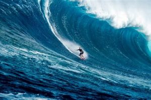 Extreme Huge Wave Surfer: Skills, Dangers & Tips! | Learn to Surf & Skate: A Beginner's Step-by-Step Guide