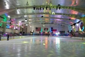 Find an Ice Skate Arena Near You: Arena Guide | Learn to Surf & Skate: A Beginner's Step-by-Step Guide