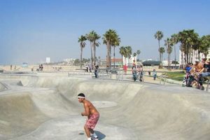 Miami Skate Parks: Your Guide + Local Hotspots | Learn to Surf & Skate: A Beginner's Step-by-Step Guide