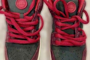 Buy Riot Skate Shop Dunks: Limited Edition Kicks! | Learn to Surf & Skate: A Beginner's Step-by-Step Guide