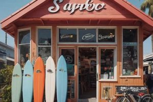 Find Local Surf Shops in Malibu CA | Gear & Rentals | Learn to Surf & Skate: A Beginner's Step-by-Step Guide