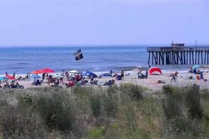 Surf City NJ Weather: Your Beach Day Planner | Learn to Surf & Skate: A Beginner's Step-by-Step Guide