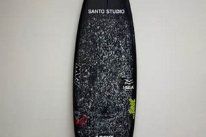 Your Local Blacksheep Skate Shop: Gear & Community! | Learn to Surf & Skate: A Beginner's Step-by-Step Guide