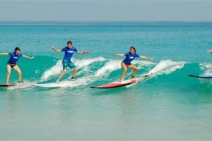 Learn Surfing: Costa Rica Surf Lessons Guide | Learn to Surf & Skate: A Beginner's Step-by-Step Guide