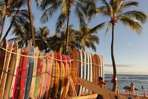 Your Guide: Surf Beach Surfing Bliss & Tips | Learn to Surf & Skate: A Beginner's Step-by-Step Guide