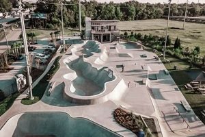 Visit Charleston Skate Park: Your Ultimate Guide! | Learn to Surf & Skate: A Beginner's Step-by-Step Guide