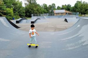 Visit Edison Skate Park: Your Local Skate Spot! | Learn to Surf & Skate: A Beginner's Step-by-Step Guide