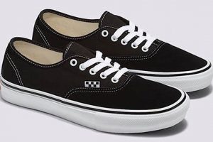Best Vans Authentic Skate Shoe: Review & Guide | Learn to Surf & Skate: A Beginner's Step-by-Step Guide