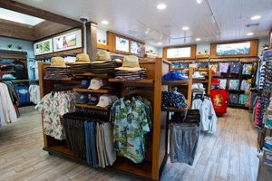 Your Guide: Surf Shop Pensacola & Beach Essentials | Learn to Surf & Skate: A Beginner's Step-by-Step Guide