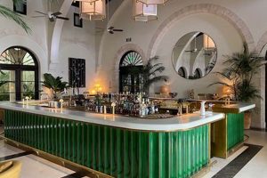 Elevated Sips: Champagne Bar at the Surf Club - Seaside Bubbles | Learn to Surf & Skate: A Beginner's Step-by-Step Guide