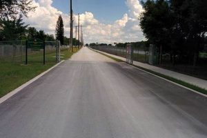 Brandon Park Skate Spot: Ride On at Substation Rd! | Learn to Surf & Skate: A Beginner's Step-by-Step Guide