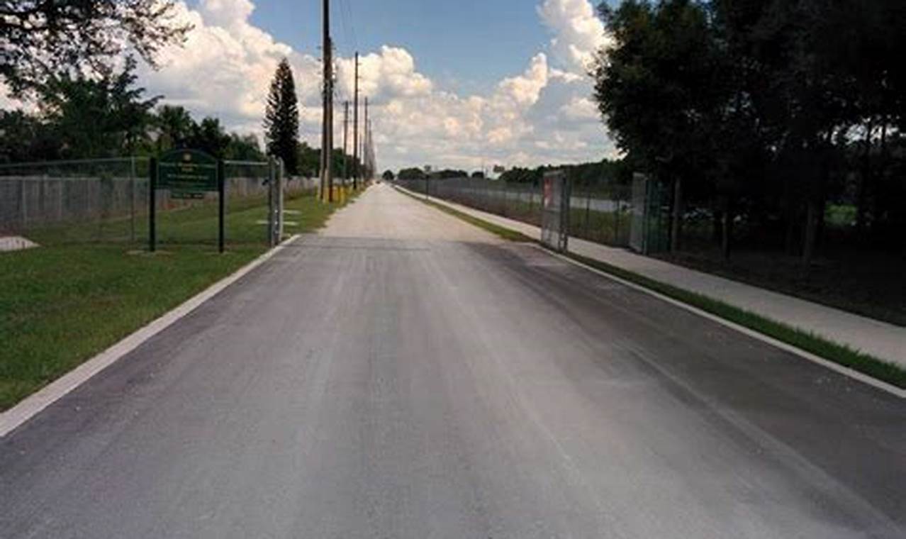 Brandon Park Skate Spot: Ride On at Substation Rd! Learn to Surf & Skate: A Beginner's Step-by-Step Guide Brandon Park Skate Spot: Ride On at Substation Rd! | Learn to Surf & Skate: A Beginner's Step-by-Step Guide