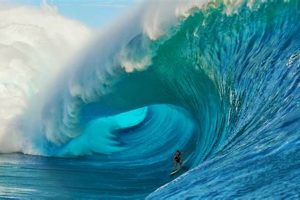 Ride the Biggest Waves in the World: Surfing Giants! | Learn to Surf & Skate: A Beginner's Step-by-Step Guide