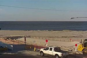 Cape May NJ Surf Cam: Live Beach Views + Updates | Learn to Surf & Skate: A Beginner's Step-by-Step Guide
