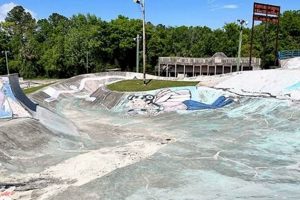 Best Skate Park Jacksonville FL Guide: Locations & More! | Learn to Surf & Skate: A Beginner's Step-by-Step Guide