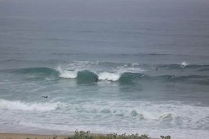 Your Go-To: Todays Surf Report &amp; Forecasts Near You! | Learn to Surf & Skate: A Beginner's Step-by-Step Guide