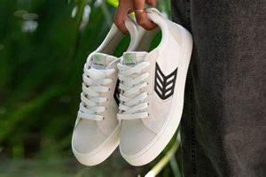 Best Skate Shoes 2024: Reviews & Buyer's Guide Learn to Surf & Skate: A Beginner's Step-by-Step Guide Best Skate Shoes 2024: Reviews & Buyer's Guide | Learn to Surf & Skate: A Beginner's Step-by-Step Guide