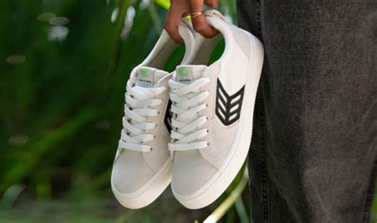 Best Skate Shoes 2024: Reviews & Buyer's Guide Learn to Surf & Skate: A Beginner's Step-by-Step Guide Best Skate Shoes 2024: Reviews & Buyer's Guide | Learn to Surf & Skate: A Beginner's Step-by-Step Guide