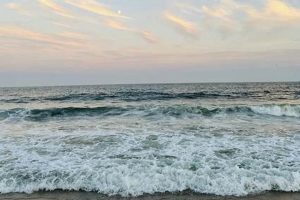 Your Guide: Surf Club Quogue Memberships & More | Learn to Surf & Skate: A Beginner's Step-by-Step Guide