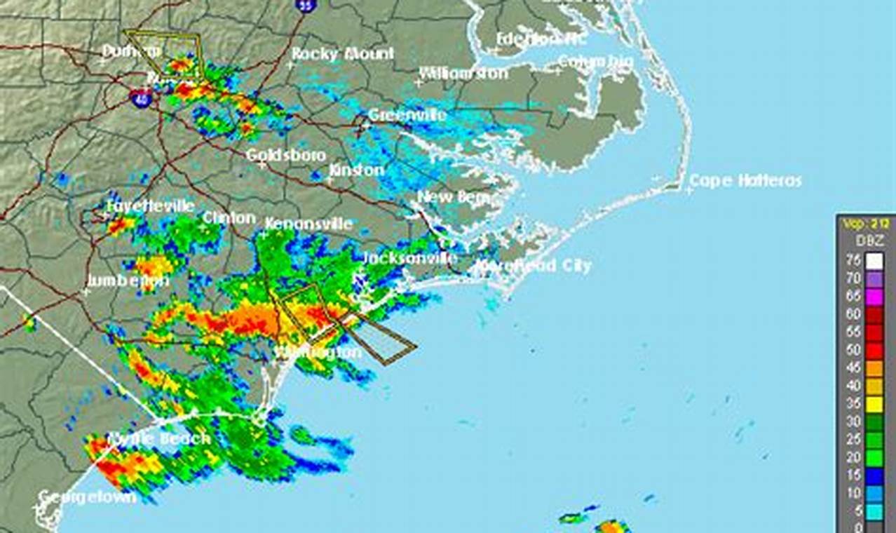 Surf City: Weather Radar for Perfect Waves Learn to Surf & Skate: A Beginner's Step-by-Step Guide Surf City: Weather Radar for Perfect Waves | Learn to Surf & Skate: A Beginner's Step-by-Step Guide