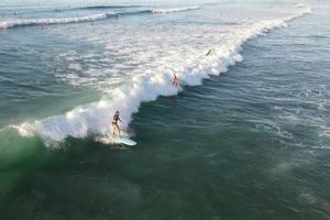 Your Diamond Head Surf Report: Tips & Conditions Learn to Surf & Skate: A Beginner's Step-by-Step Guide Your Diamond Head Surf Report: Tips & Conditions | Learn to Surf & Skate: A Beginner's Step-by-Step Guide