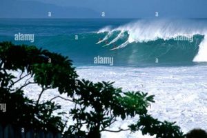 Ultimate Big Wave Surfing in Hawaii Guide! Learn to Surf & Skate: A Beginner's Step-by-Step Guide Ultimate Big Wave Surfing in Hawaii Guide! | Learn to Surf & Skate: A Beginner's Step-by-Step Guide