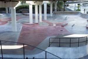 Best Skate Park Miami Spots: Ride On! Learn to Surf & Skate: A Beginner's Step-by-Step Guide Best Skate Park Miami Spots: Ride On! | Learn to Surf & Skate: A Beginner's Step-by-Step Guide