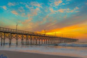 Surf City Beach: Your Ultimate Guide & More Learn to Surf & Skate: A Beginner's Step-by-Step Guide Surf City Beach: Your Ultimate Guide & More | Learn to Surf & Skate: A Beginner's Step-by-Step Guide