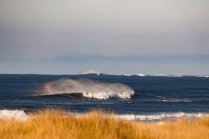 Westport WA Surf Report: Today's Conditions + Forecast Learn to Surf & Skate: A Beginner's Step-by-Step Guide Westport WA Surf Report: Today's Conditions + Forecast | Learn to Surf & Skate: A Beginner's Step-by-Step Guide