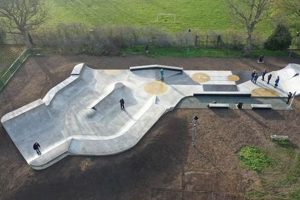 Your Guide to St. Mary's Skate Park Fun! Learn to Surf & Skate: A Beginner's Step-by-Step Guide Your Guide to St. Mary's Skate Park Fun! | Learn to Surf & Skate: A Beginner's Step-by-Step Guide