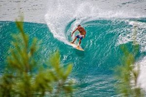 Learn Kauai Surfing Lessons: Tips & Schools Learn to Surf & Skate: A Beginner's Step-by-Step Guide Learn Kauai Surfing Lessons: Tips & Schools | Learn to Surf & Skate: A Beginner's Step-by-Step Guide