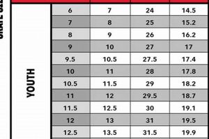 Find Your Perfect Fit: CCM Ice Skates Size Chart & Guide Learn to Surf & Skate: A Beginner's Step-by-Step Guide Find Your Perfect Fit: CCM Ice Skates Size Chart & Guide | Learn to Surf & Skate: A Beginner's Step-by-Step Guide